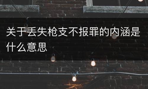 关于丢失枪支不报罪的内涵是什么意思