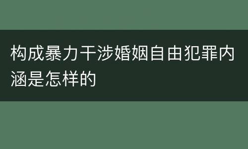 构成暴力干涉婚姻自由犯罪内涵是怎样的