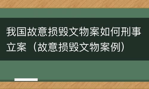 我国故意损毁文物案如何刑事立案（故意损毁文物案例）