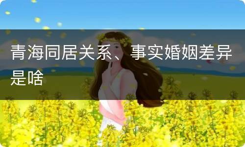 青海同居关系、事实婚姻差异是啥