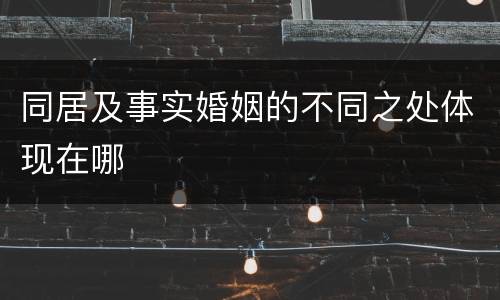 同居及事实婚姻的不同之处体现在哪