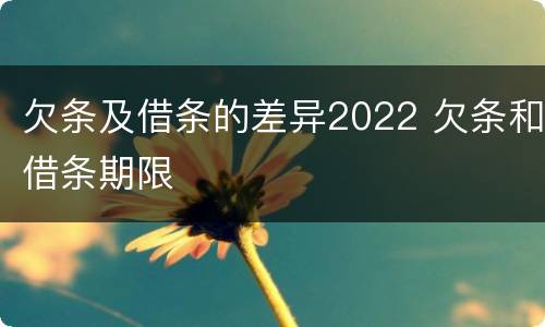 欠条及借条的差异2022 欠条和借条期限
