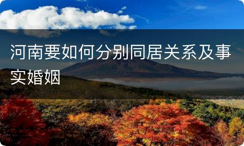 河南要如何分别同居关系及事实婚姻