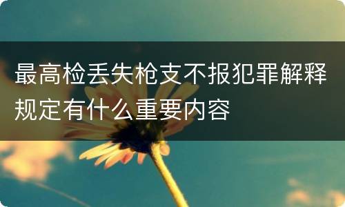 最高检丢失枪支不报犯罪解释规定有什么重要内容