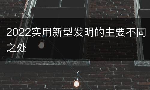 2022实用新型发明的主要不同之处