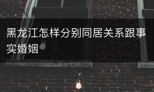 黑龙江怎样分别同居关系跟事实婚姻
