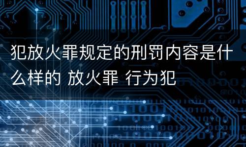 犯放火罪规定的刑罚内容是什么样的 放火罪 行为犯