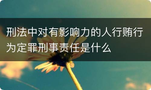 刑法中对有影响力的人行贿行为定罪刑事责任是什么