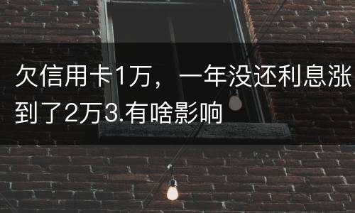 欠信用卡1万，一年没还利息涨到了2万3.有啥影响