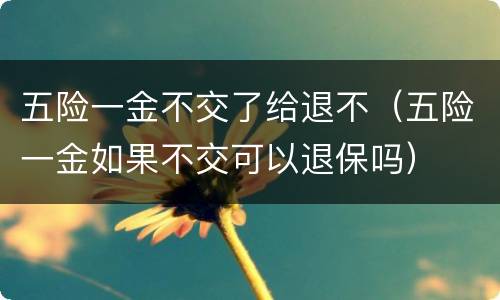 五险一金不交了给退不（五险一金如果不交可以退保吗）