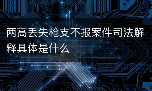 两高丢失枪支不报案件司法解释具体是什么