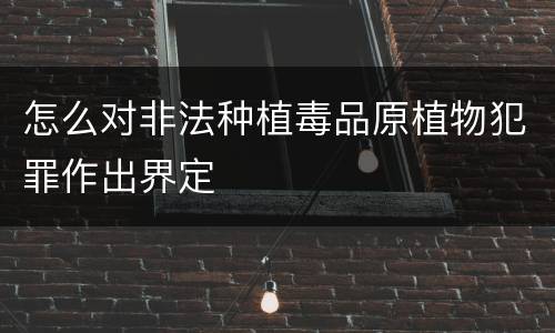 怎么对非法种植毒品原植物犯罪作出界定