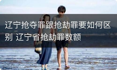 辽宁抢夺罪跟抢劫罪要如何区别 辽宁省抢劫罪数额