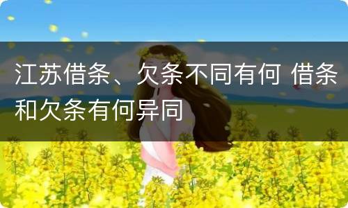江苏借条、欠条不同有何 借条和欠条有何异同