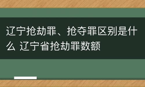 辽宁抢劫罪、抢夺罪区别是什么 辽宁省抢劫罪数额