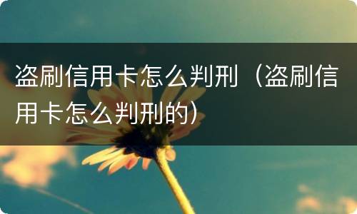 盗刷信用卡怎么判刑（盗刷信用卡怎么判刑的）