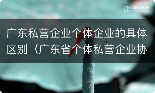 广东私营企业个体企业的具体区别（广东省个体私营企业协会）