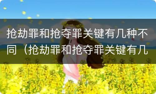 抢劫罪和抢夺罪关键有几种不同（抢劫罪和抢夺罪关键有几种不同处）