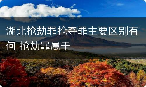 湖北抢劫罪抢夺罪主要区别有何 抢劫罪属于