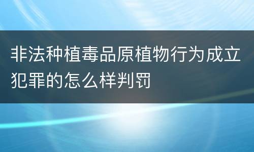 非法种植毒品原植物行为成立犯罪的怎么样判罚