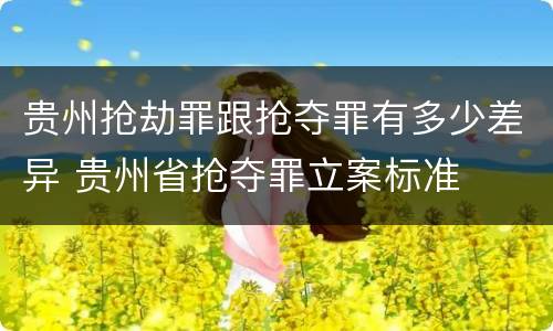 贵州抢劫罪跟抢夺罪有多少差异 贵州省抢夺罪立案标准