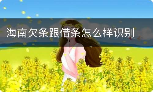 海南欠条跟借条怎么样识别
