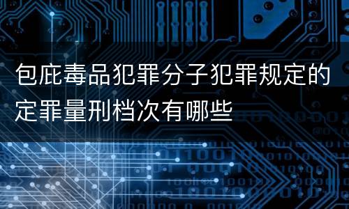 包庇毒品犯罪分子犯罪规定的定罪量刑档次有哪些