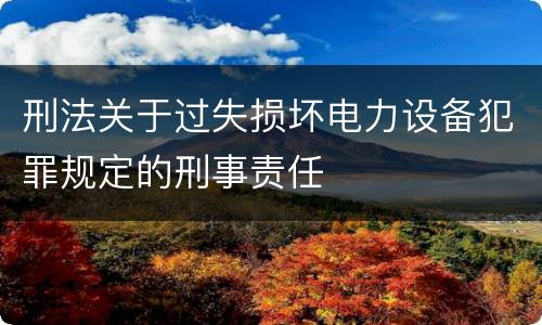 刑法关于过失损坏电力设备犯罪规定的刑事责任