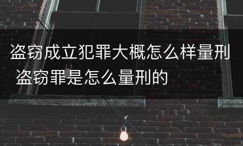 盗窃成立犯罪大概怎么样量刑 盗窃罪是怎么量刑的
