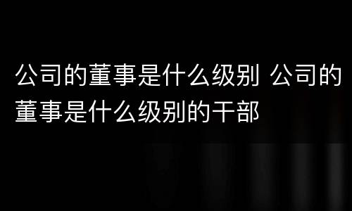 公司的董事是什么级别 公司的董事是什么级别的干部