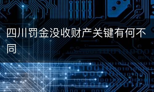 四川罚金没收财产关键有何不同