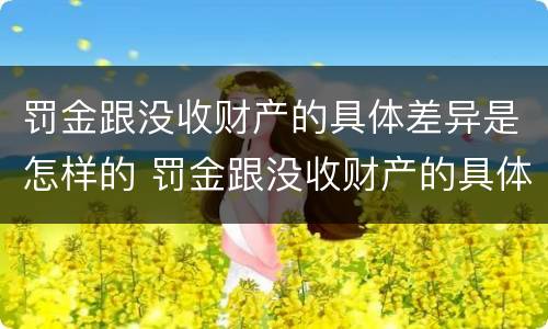 罚金跟没收财产的具体差异是怎样的 罚金跟没收财产的具体差异是怎样的呢