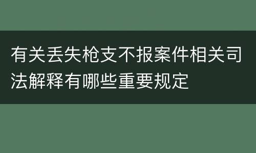 有关丢失枪支不报案件相关司法解释有哪些重要规定