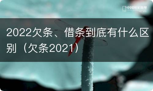 2022欠条、借条到底有什么区别（欠条2021）