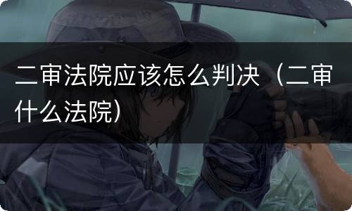 二审法院应该怎么判决（二审什么法院）