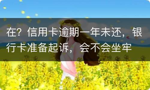 在？信用卡逾期一年未还，银行卡准备起诉，会不会坐牢
