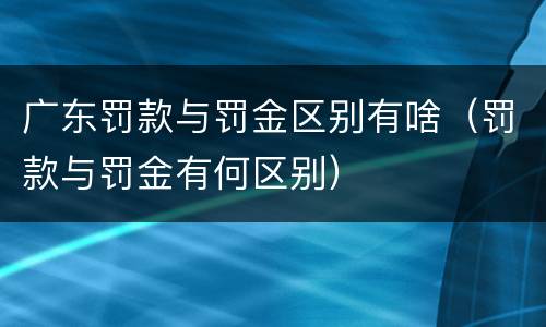 广东罚款与罚金区别有啥（罚款与罚金有何区别）