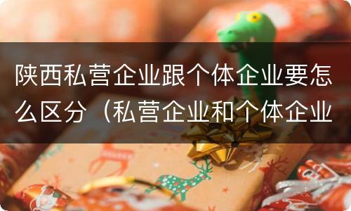 陕西私营企业跟个体企业要怎么区分（私营企业和个体企业的区别）