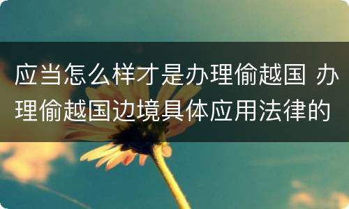 应当怎么样才是办理偷越国 办理偷越国边境具体应用法律的解释