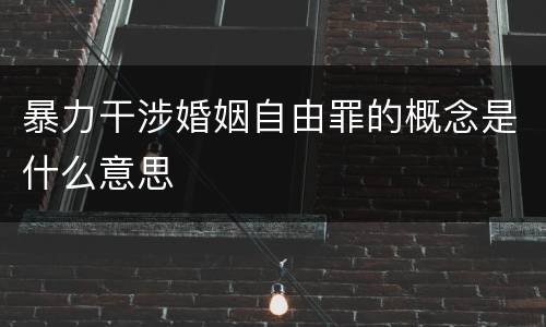 暴力干涉婚姻自由罪的概念是什么意思