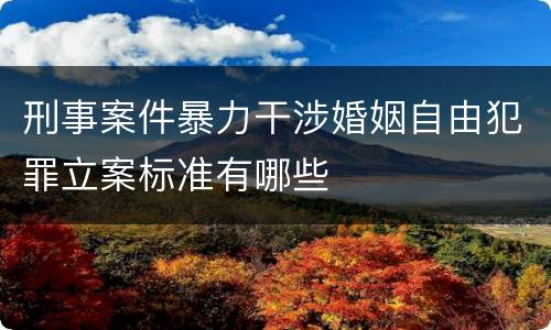 刑事案件暴力干涉婚姻自由犯罪立案标准有哪些