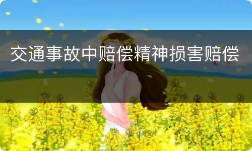 交通事故中赔偿精神损害赔偿