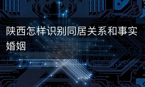 陕西怎样识别同居关系和事实婚姻