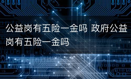 公益岗有五险一金吗 政府公益岗有五险一金吗