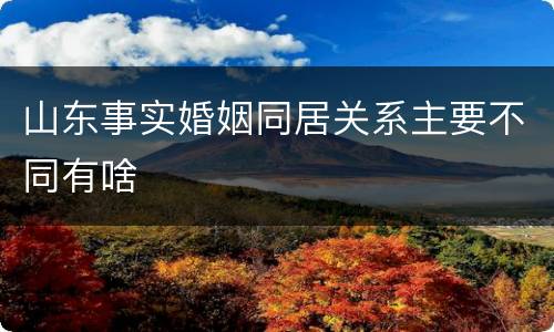 山东事实婚姻同居关系主要不同有啥