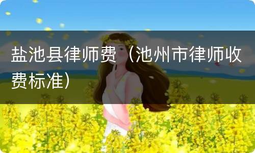 盐池县律师费（池州市律师收费标准）