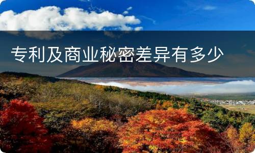 专利及商业秘密差异有多少