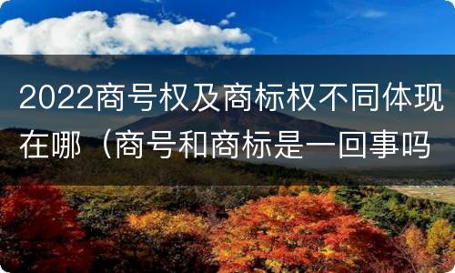 2022商号权及商标权不同体现在哪（商号和商标是一回事吗）