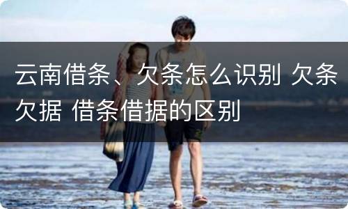 云南借条、欠条怎么识别 欠条欠据 借条借据的区别