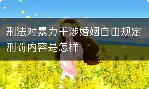 刑法对暴力干涉婚姻自由规定刑罚内容是怎样